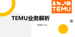 TEMU大卖成长路径分享