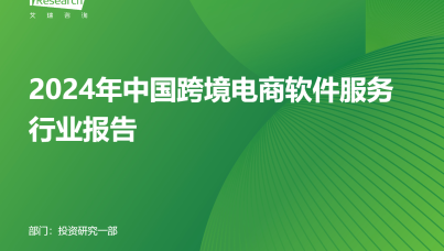 2024年中国跨境电商软件服务行业报告