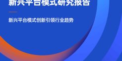 2024年跨境电商新兴平台模式研究报告