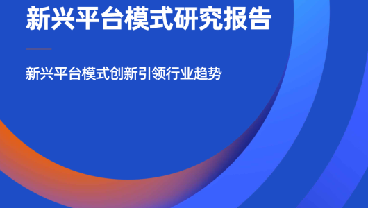 2024年跨境电商新兴平台模式研究报告