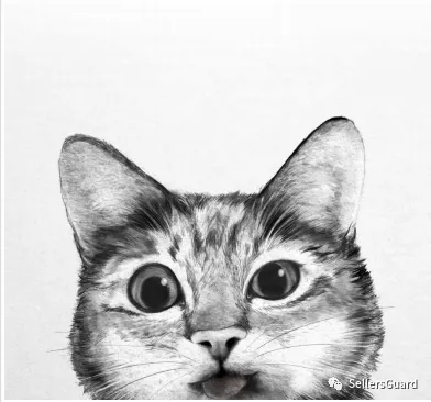 已有1000+店铺遭遇侵权冻结!  40+需规避的品牌/产品合集