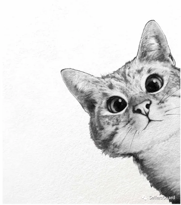 已有1000+店铺遭遇侵权冻结!  40+需规避的品牌/产品合集