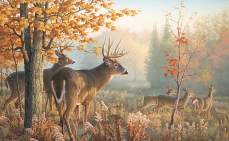 已有1000+店铺遭遇侵权冻结!  40+需规避的品牌/产品合集