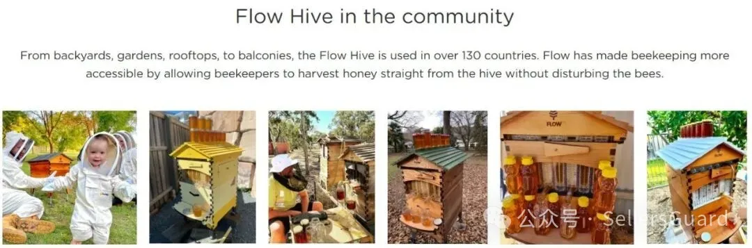 已有1000+店铺遭遇侵权冻结!  40+需规避的品牌/产品合集