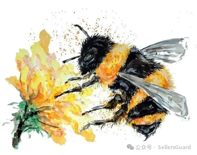 已有1000+店铺遭遇侵权冻结!  40+需规避的品牌/产品合集