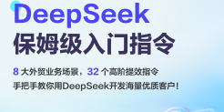 2025年DeepSeek外贸业务场景保姆级入门指令手册