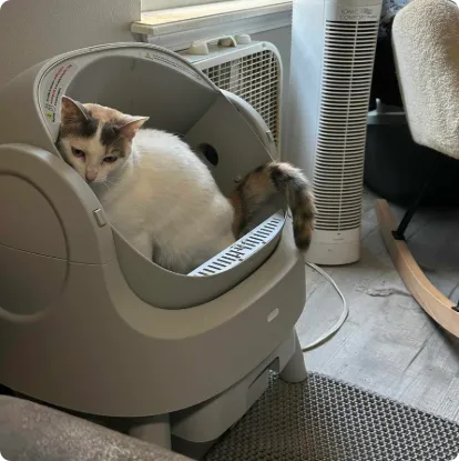 宠物智能用品：自动猫砂盆的差异化突围策略