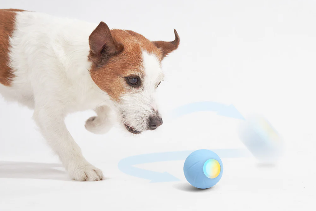 图片 选品案例:180项专利筑墙:Cheerble如何用可拆卸结构破解宠物玩具痛点