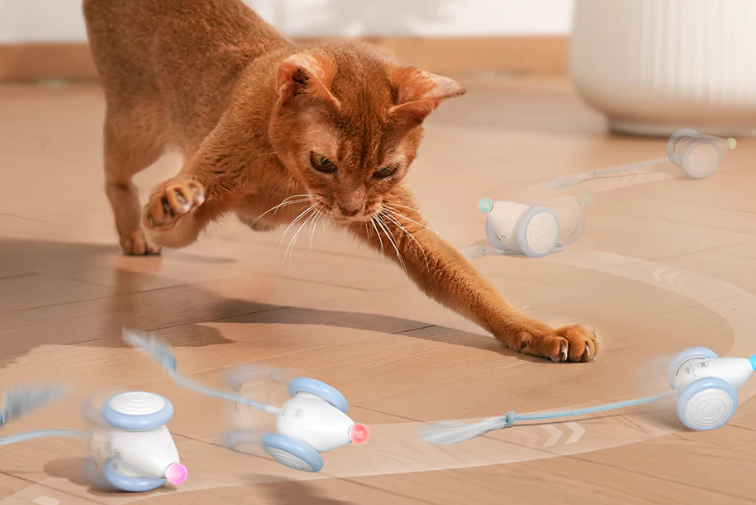 图片 选品案例:180项专利筑墙:Cheerble如何用可拆卸结构破解宠物玩具痛点