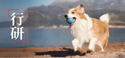选品案例：180项专利筑墙：Cheerble如何用可拆卸结构破解宠物玩具痛点