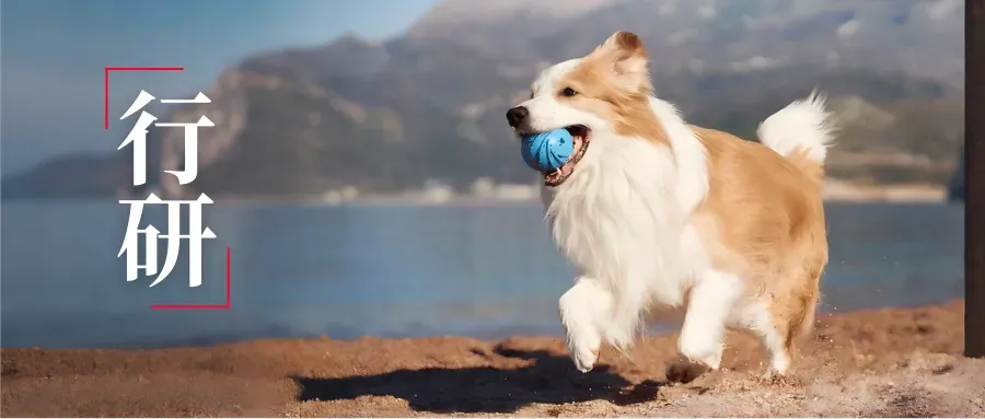 选品案例：180项专利筑墙：Cheerble如何用可拆卸结构破解宠物玩具痛点