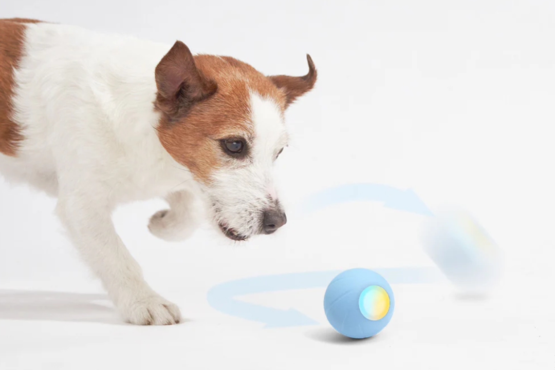 图片 选品案例:180项专利筑墙:Cheerble如何用可拆卸结构破解宠物玩具痛点