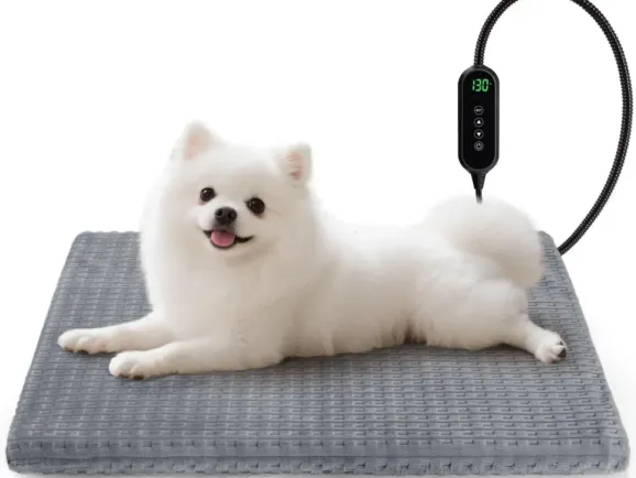采购量激增35%！宠物取暖产品在海外大卖！