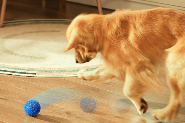 图片 选品案例:180项专利筑墙:Cheerble如何用可拆卸结构破解宠物玩具痛点