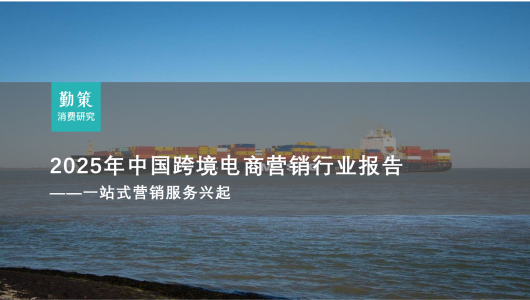 2025中国跨境电商营销行业报告