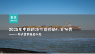 2025中国跨境电商营销行业报告