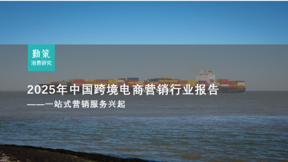 2025中国跨境电商营销行业报告