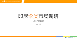 2025年印尼伞类市场调研报告