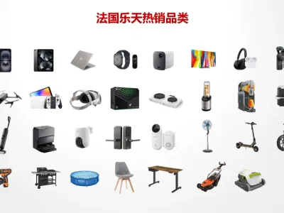 法国乐天选品推荐｜爆款品类全解析，把握夏促增长红利！