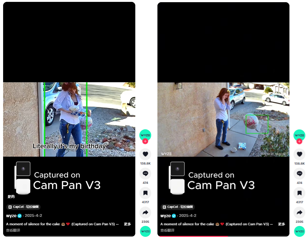 年入超2亿美元，“中美混血”电子眼在这条赛道闯出来了！