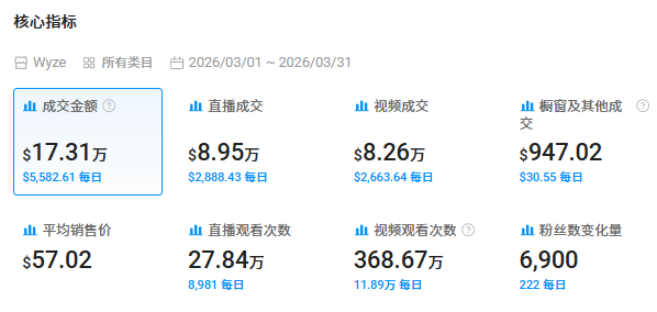 年入超2亿美元，“中美混血”电子眼在这条赛道闯出来了！