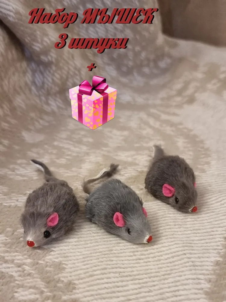 高单价高销量高科技的宠物用品,Ozon爆款新品推荐