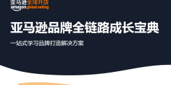 亚马逊品牌全链路成长宝典