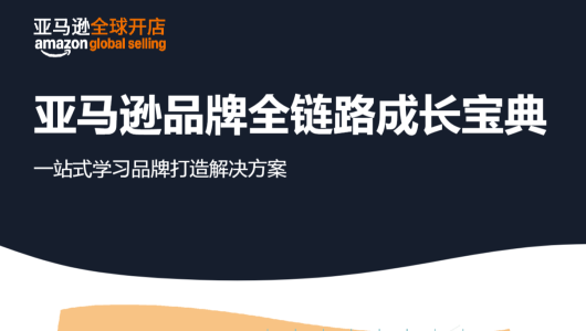 亚马逊品牌全链路成长宝典