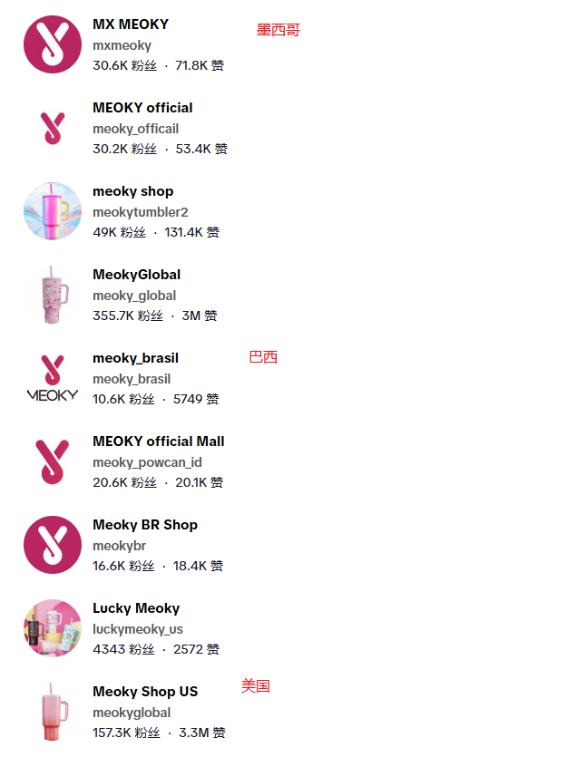 单条视频卖爆288万！这个国产保温杯如何靠TikTok年销过亿