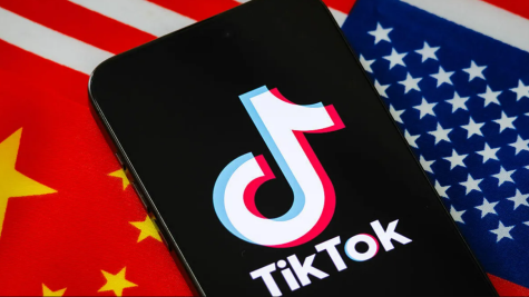 2026 跨境选品推荐：TikTok 爆品推荐！狂卖24万件!