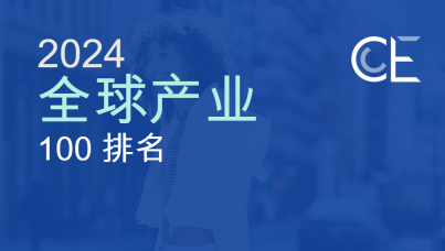 2024年全球服装、配饰及鞋履产业100强排名