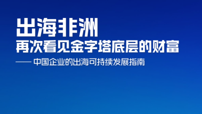出海非洲：再次看见金字塔底层的财富