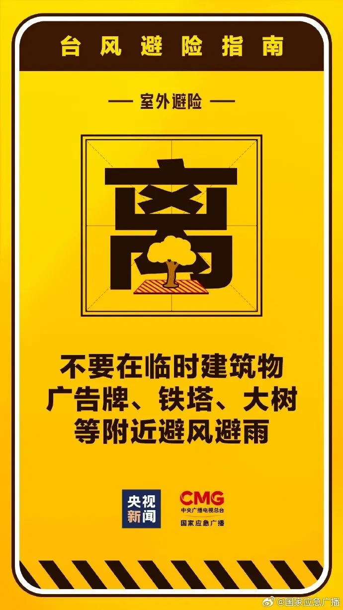 停摆！台风“桦加沙”来袭，以下跨境物流运输受影响