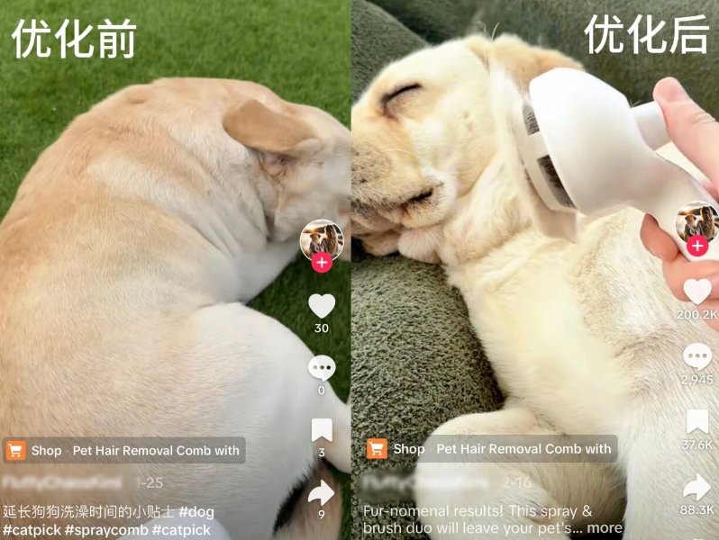 TikTok素材怎么配ROI最高？自营vs达人的黄金比例，从0到1的实操方法
