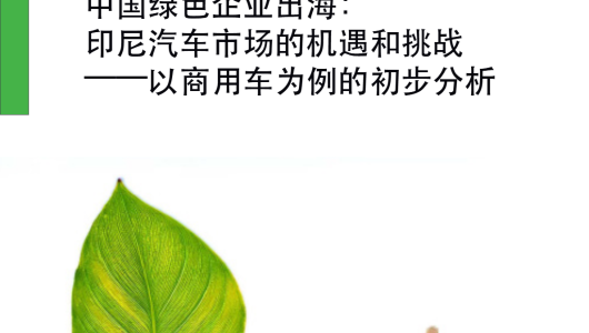 中国绿色企业出海:印尼汽车市场机遇与挑战
