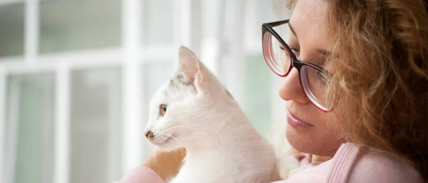 TikTok美区宠物智能用品爆款：PetPivot自动猫砂盆月销1.6万件，GMV超200万美元登顶类目