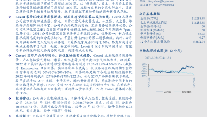 VESYNC：深度研究报告-小家电跨境电商龙头，渠道、品类持续丰富