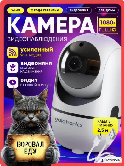 图片 12-1月Wildberries热销品类推荐——新年节庆销售黄金期即将全面开启!