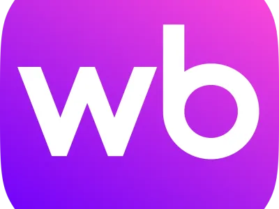 12-1月Wildberries热销品类推荐——新年节庆销售黄金期即将全面开启！