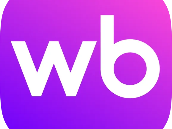 12-1月Wildberries热销品类推荐——新年节庆销售黄金期即将全面开启！