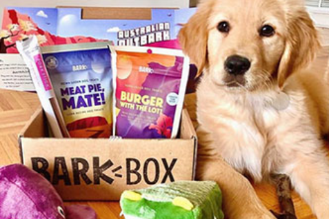 BarkBox靠“宠物玩具盲盒”年入5亿，凭什么？