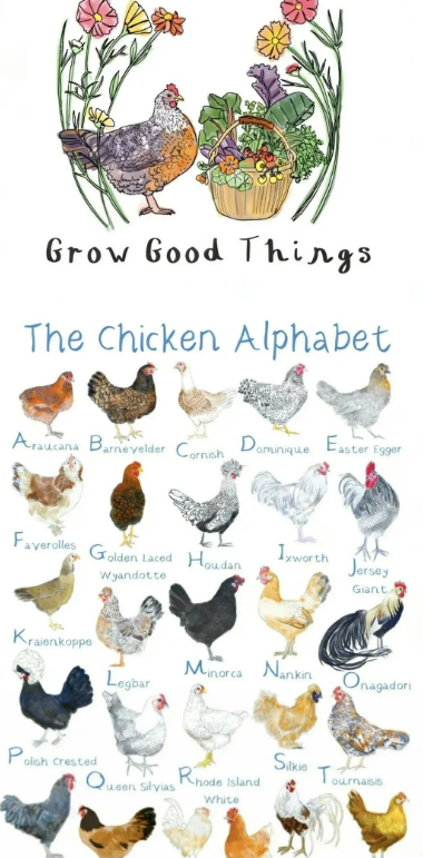 又有28幅插画很危险!Keith律所全新五起版权案件来袭,卖家注意自查规避