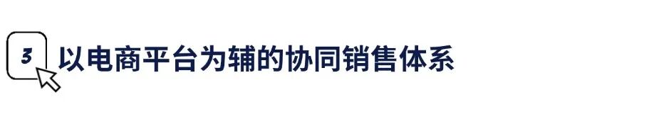 图片 一场冬奥,双重身份:安踏如何在海外搭建线上DTC体系?