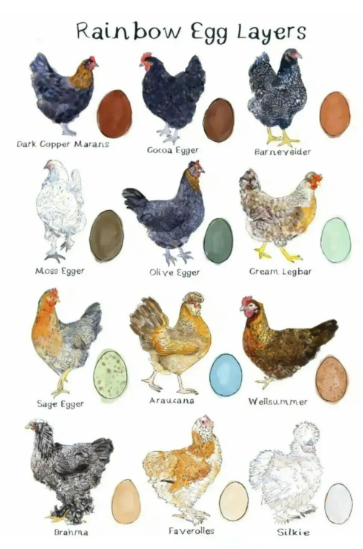 又有28幅插画很危险!Keith律所全新五起版权案件来袭,卖家注意自查规避