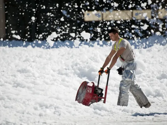 美国物流全停！TikTok 故障，卖家告急