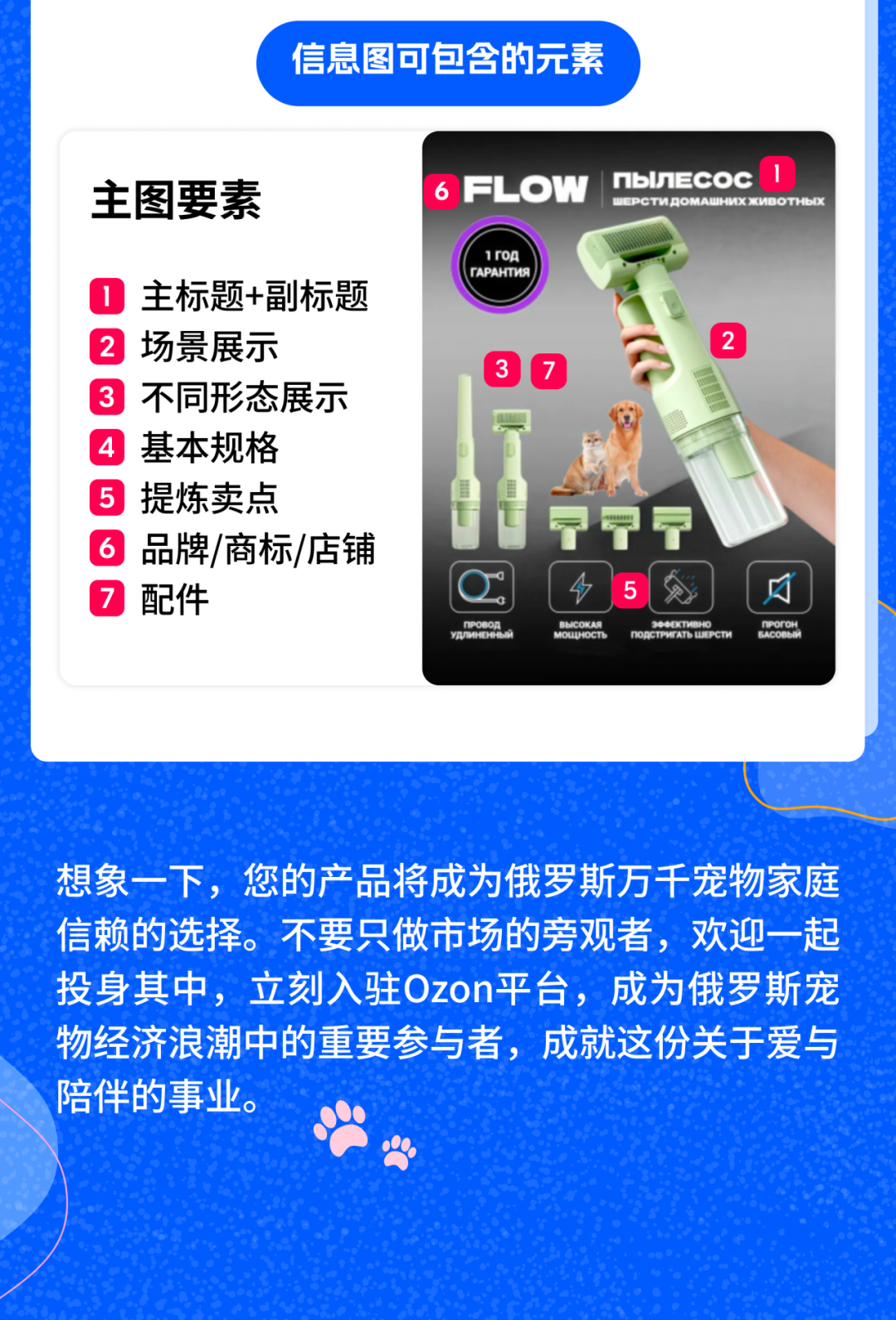 抢占俄罗斯萌宠市场！Ozon宠物用品销售指南（含三大黄金赛道+蓝海选品）