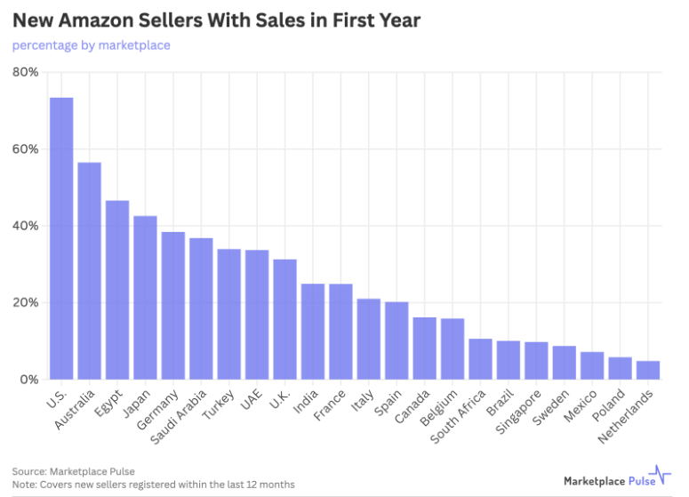 美国亚马逊：新手卖家成功率最高的首选市场​
