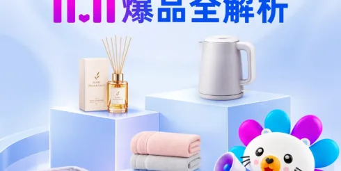 抢跑双11！东南亚生活百货类目爆品+备战节奏抢先看