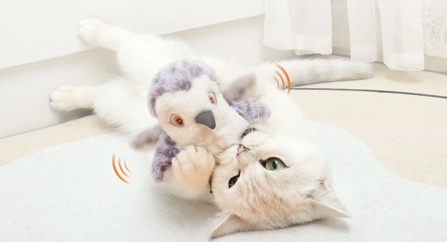 图片 猫咪“玩出”大生意,宠物玩具在TikTok年销超300万美元