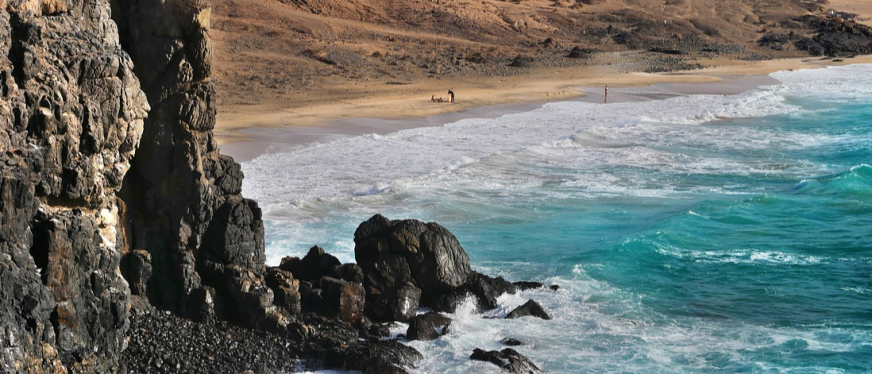 2025年亚马逊电商主要发展趋势